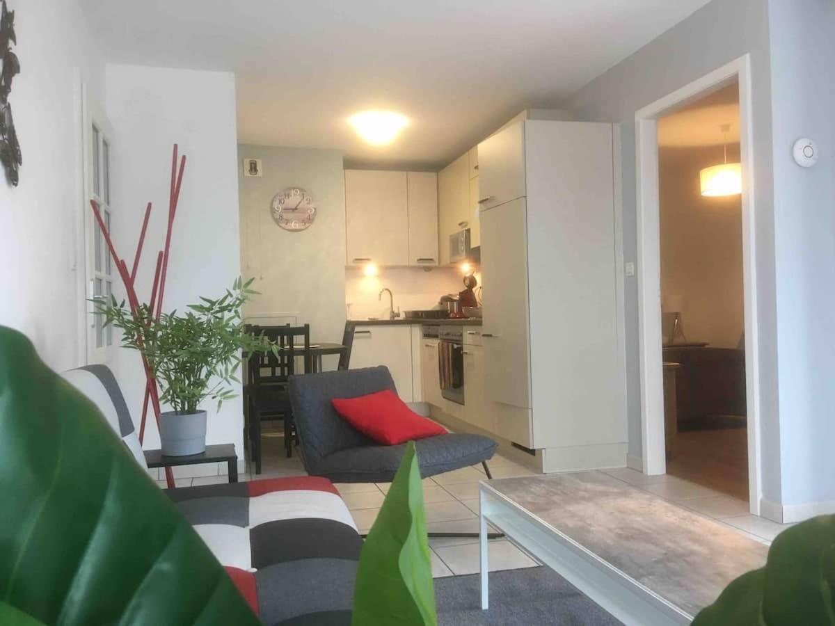 Au Coeur De Colmar Apartment Bagian luar foto